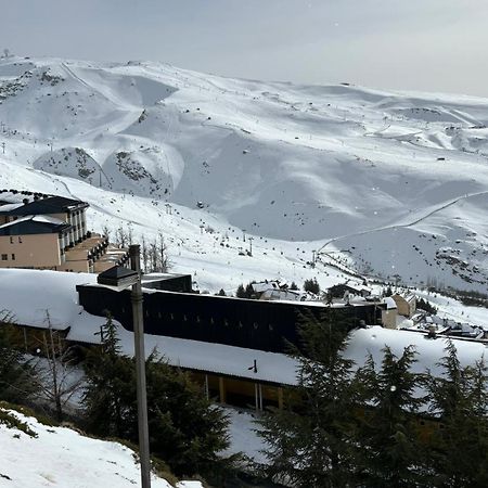 Biznaga Nevada Leilighet Granada Eksteriør bilde