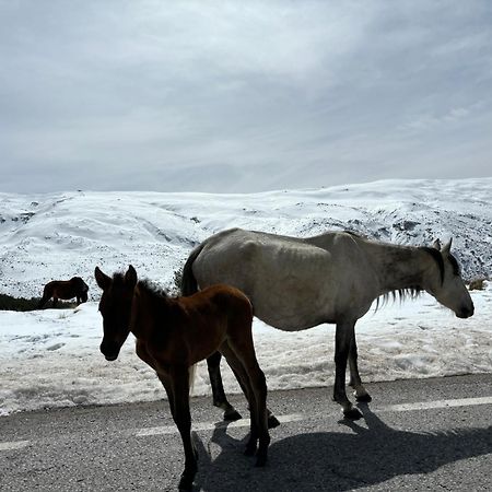 Biznaga Nevada Leilighet Granada Eksteriør bilde