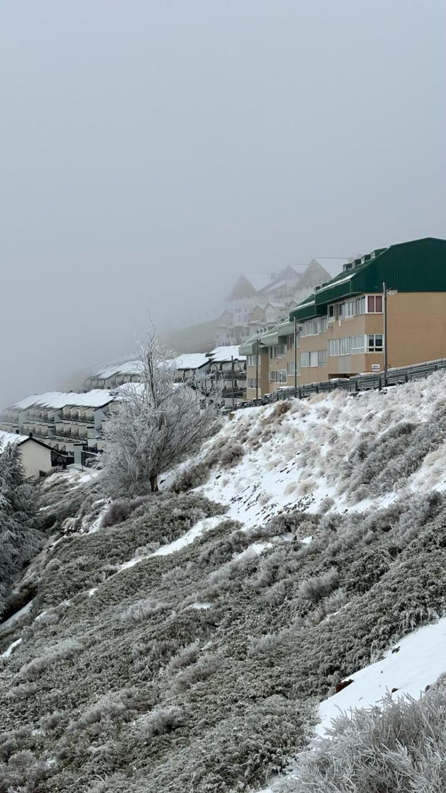Biznaga Nevada Leilighet Granada Eksteriør bilde