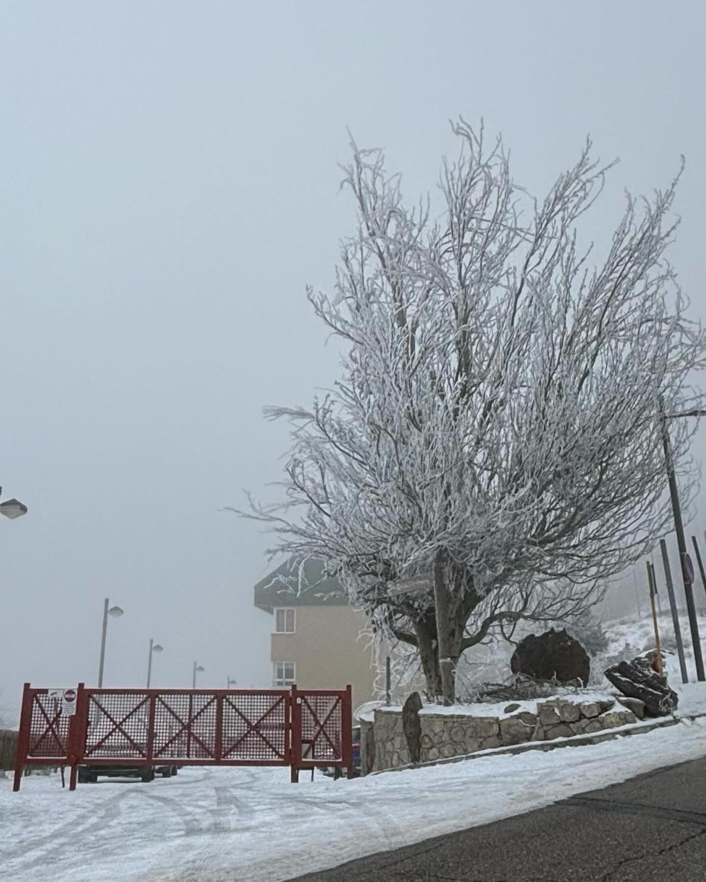 Biznaga Nevada Leilighet Granada Eksteriør bilde